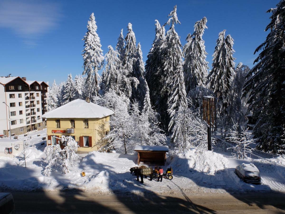Borovets Apartment, Villa Park エクステリア 写真