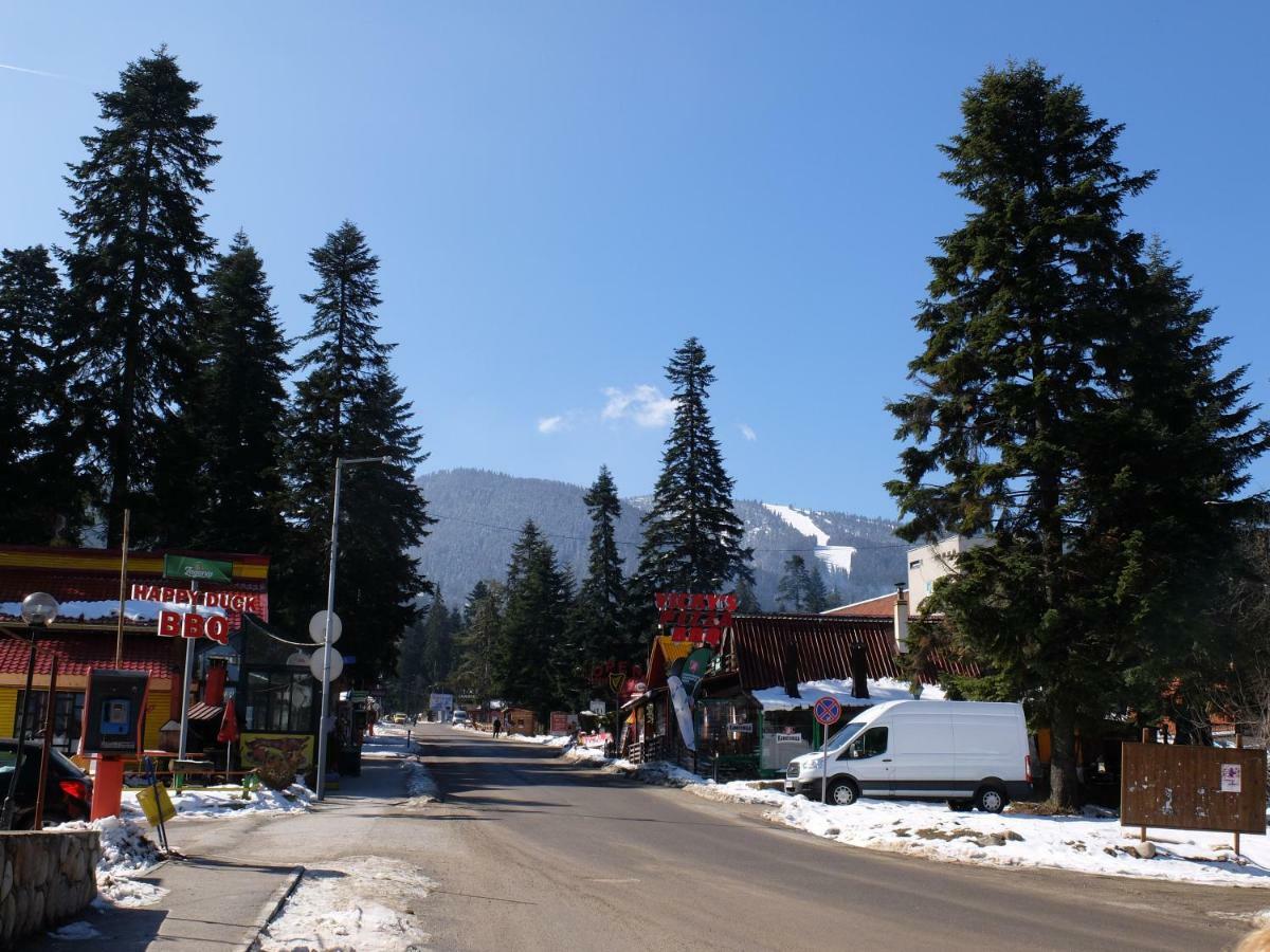 Borovets Apartment, Villa Park エクステリア 写真